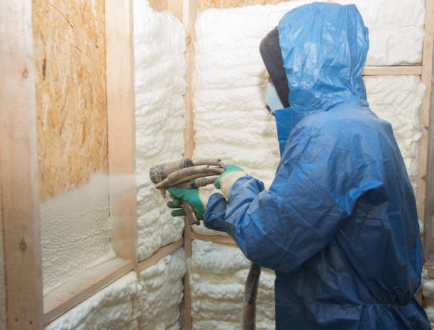 Best Commercial Insulation Services  in Leon, IA